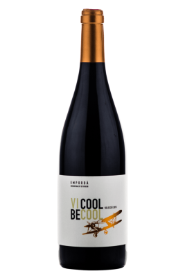 AV Bodeguers ViCool Selecció