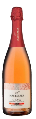 Mas Ferrer ROSAT_2021